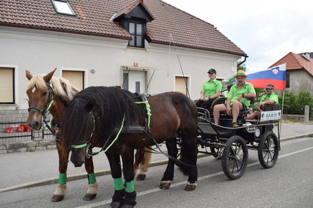 Fotografije Srečko Šajn (14)